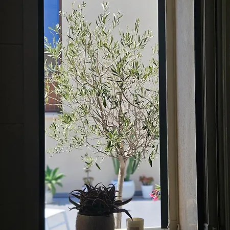 Apartment Terrazza Oasi