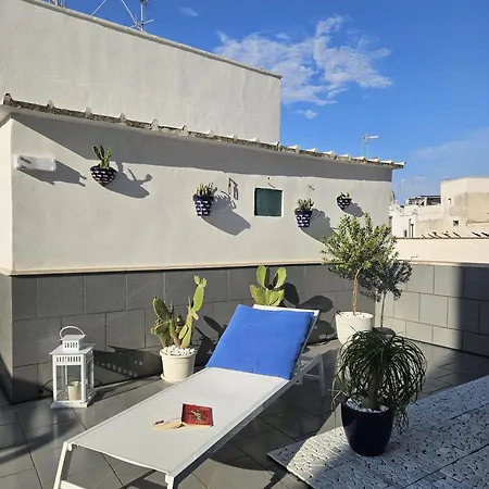 Terrazza Oasi Apartment *